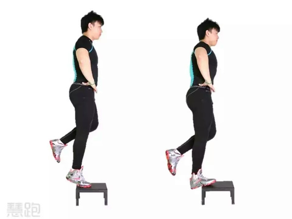 动作5:坐姿提踵训练:见前述