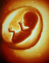 十月怀胎惊人变化!揭秘胎儿发育全过程