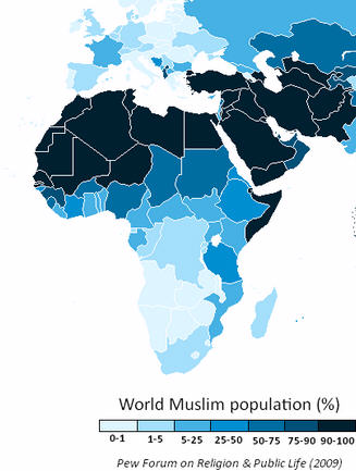 法国伊斯兰人口_法国人口