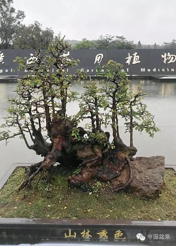 Ʒ辰չƷѡ
