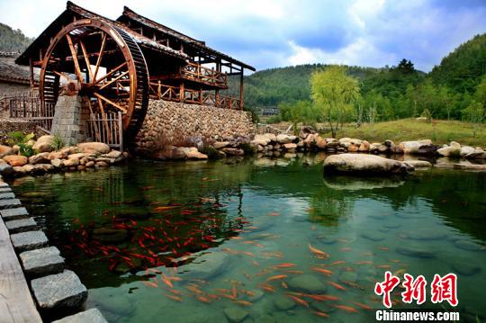 "美丽经济"花开浙江龙泉:颜值成生产力迸发正能量(组图)