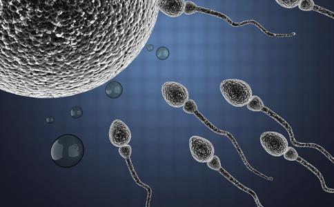 解密精子:男人的精子对女人的好处