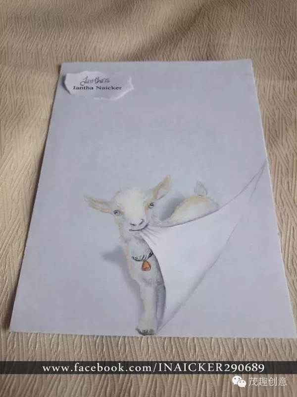 南非小女孩用铅笔画3d动物太逼真了