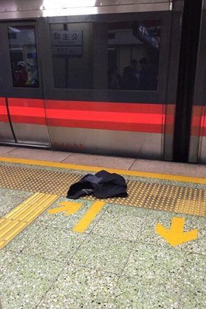 北京地铁1号线公主坟站一乘客坠轨