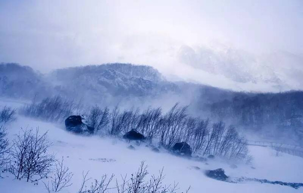 长白山冬季:雪原和林海中的旅行