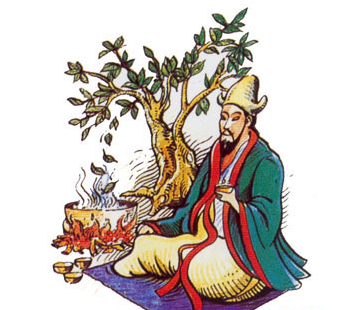 这就是中国茶的起源.