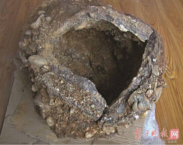 市民挖出“金陵神罐” 专家：至少一千万岁(图)
