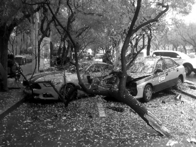 雨天路滑跑车撞出租车 事故幸未造成人员伤亡