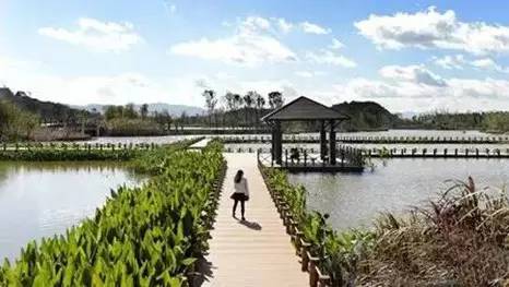 的古滇王国率先与市民见面的是"滇海古渡大码头"和"古滇精品湿地公园"