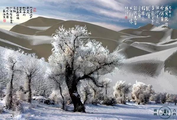 北方的雪南方的雨