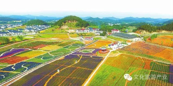 崔俊超:文化旅游综合体引领乡村旅游产业升级