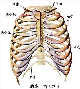 并且此疼痛与心绞痛或心梗产生的胸痛明显不一样,这样的