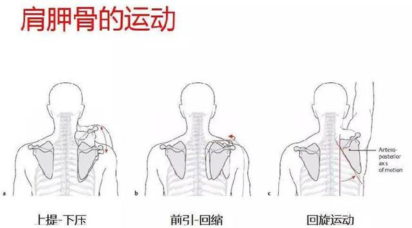 肩周炎其实没那么简单!治疗需要"稳准狠"