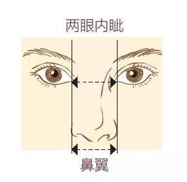 2,鼻翼的宽度等于两眼内眦的宽度,太宽的话就会显得鼻翼太大.