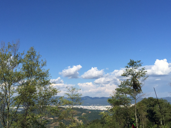 普洱市区人口_普洱市区(2)
