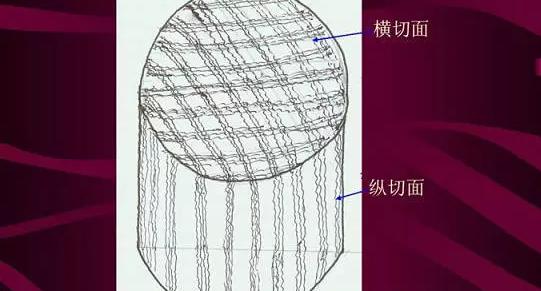 市面上见到整根大料的机会并不是很多,因此主要观察横切面的纹理,这种