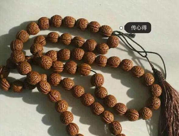大家来告诉你,山桃核如何选择?