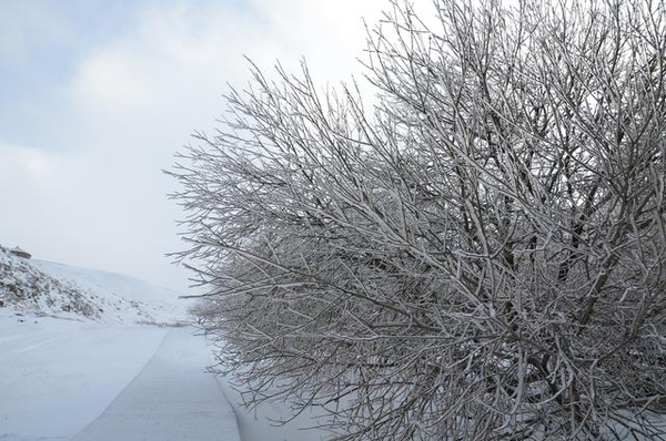 唯美内蒙古察右中旗草原黄花沟雪景让人窒息