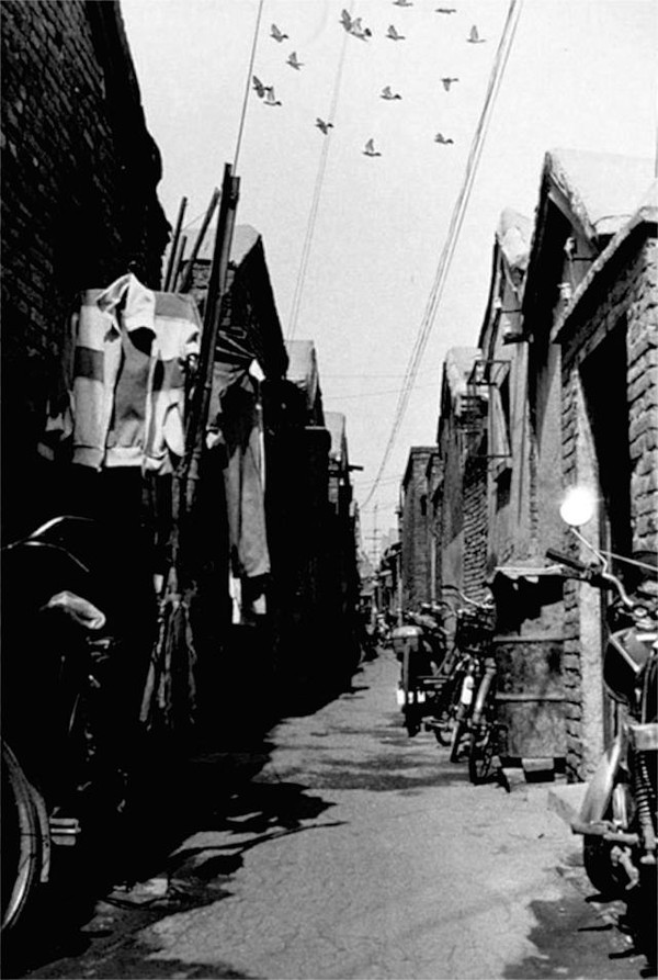 天津记忆:生活在老城厢 ·1995年