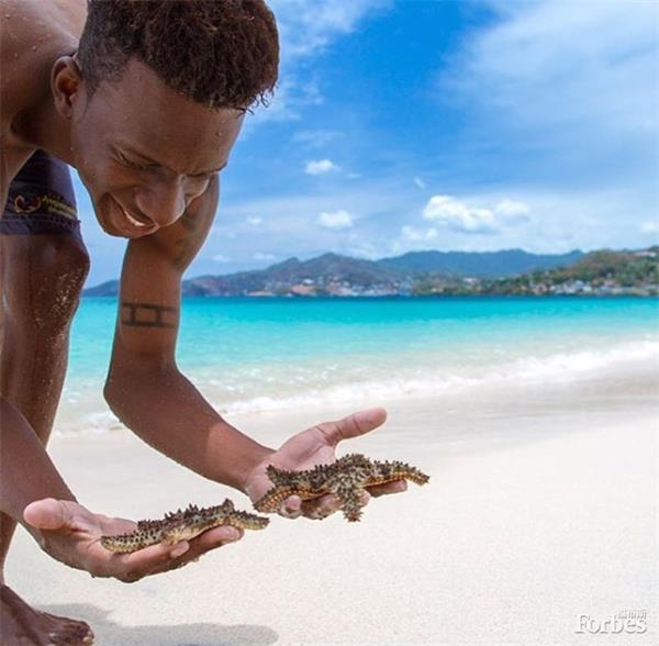 奢华享受:2016年加勒比海最佳海滩排行榜(组图
