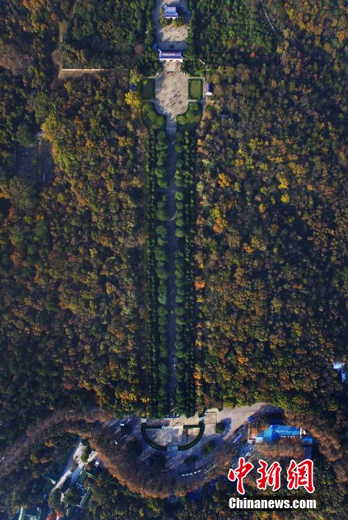 俯瞰南京紫金山 最后的秋景迷人依旧(组图)