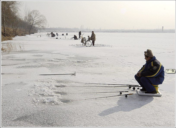 冬季钓鱼--怎么用小药-搜狐