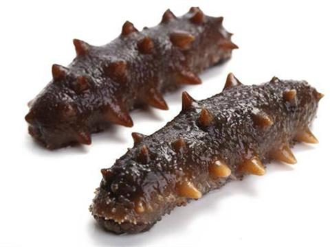 即食海参和干海参哪个好?干贝与什么菜搭配好图片