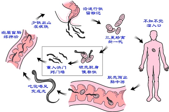 家长如何发现蛲虫病呢?