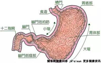 不正确的减肥导致胃下垂!这样的减肥你还要吗?