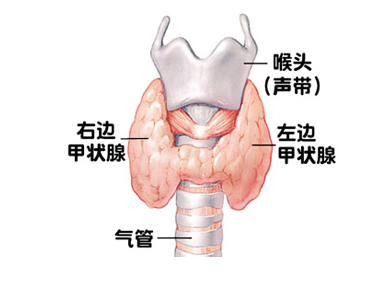 翟章锁介绍桥本甲状腺炎的症状