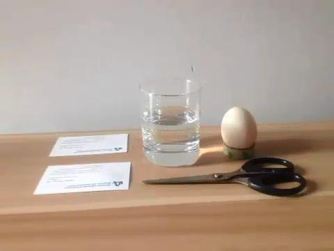 :ȤĿѧСʵ-ˮ