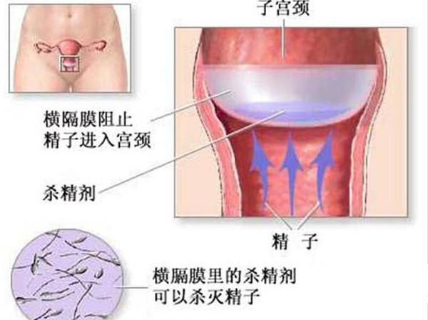 女性来月经的原理_月经停止   怀孕前的第一信号就是\