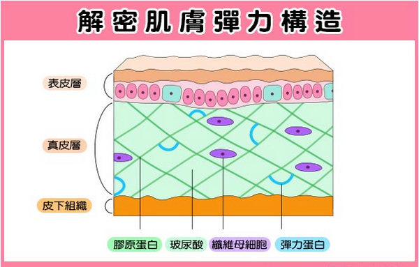 揭密胶原蛋白VS玻尿酸哪个好?