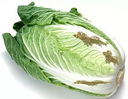腐烂的白菜