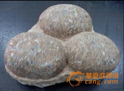 罕见水晶恐龙蛋化石每颗超千万元
