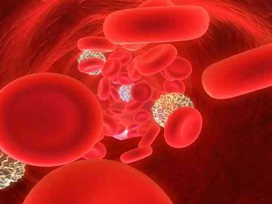 如何预防缺铁性贫血?