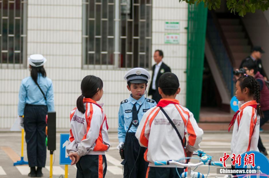 【小学教师学习交通安全心得体会】