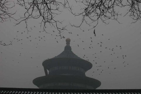 雾霾爆表！全北京“忧郁图景”