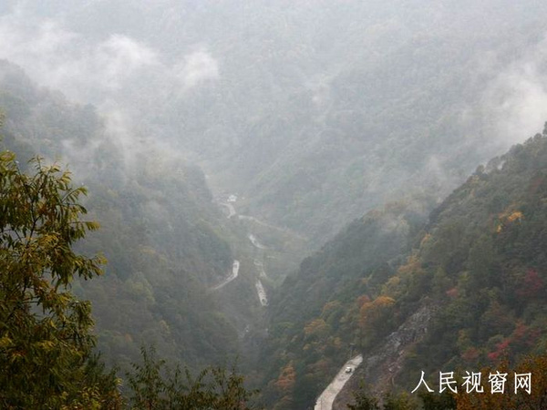 草甸镇人口_高山草甸图片