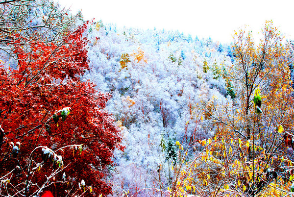 Image result for 燕山，雪