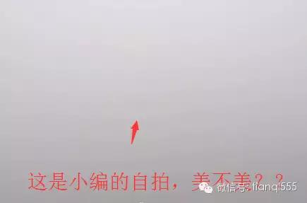 别嘚瑟的简谱_嘚瑟图片