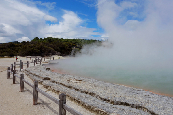 罗托鲁瓦逛逛地热公园泡泡野温泉