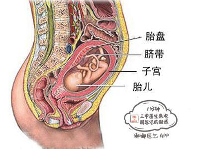 凯里胎盘人口_凯里·欧文