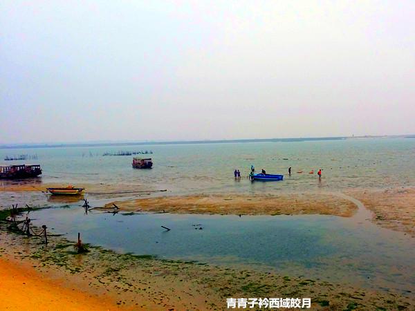 小船海鲜鱼丸汤_北海北方候鸟族的冬季家园