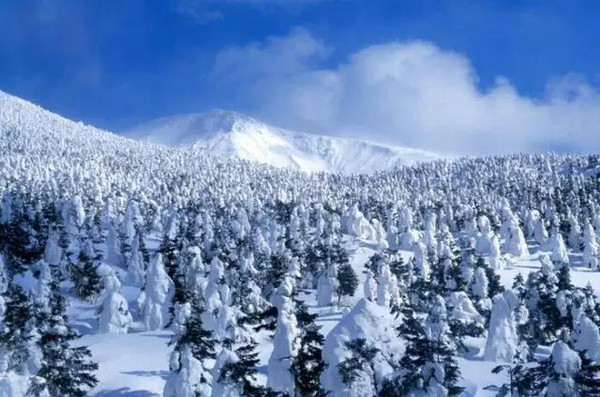 冬日长白山,白雪遮盖了一切,那些连绵无边的雪山,像是大师笔下的"留白
