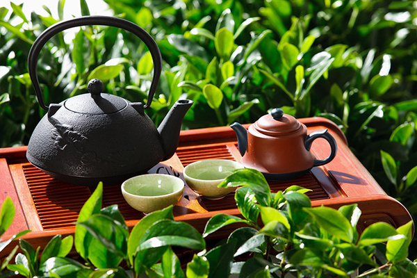 绿茶有哪些?