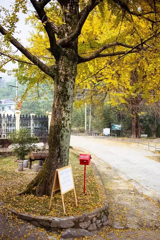 【中奖名单】明天去莫干山的这家高颜值民宿开启一场暖冬之旅咯!
