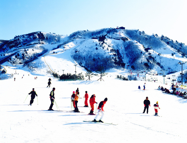 阿尔卑斯山|滑雪|雪山|滑雪场|旅游景点