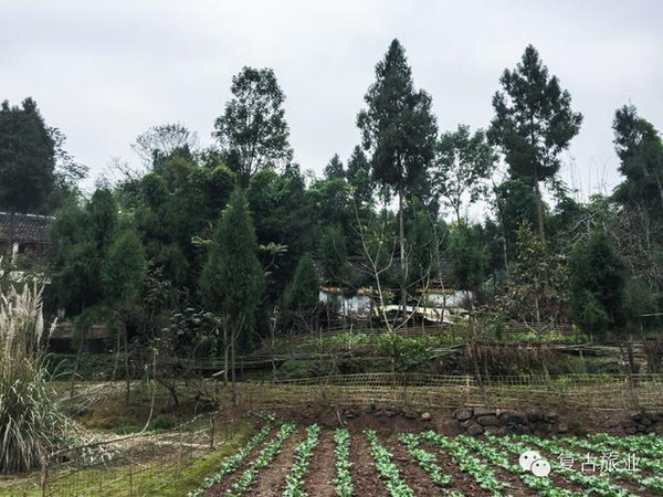 复古旅业公益行:走进乐至县劳动镇公民村小学