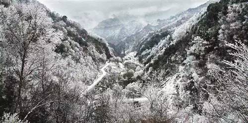10月27日,城口县黄安坝景区迎来了今秋第一场降雪,将周边